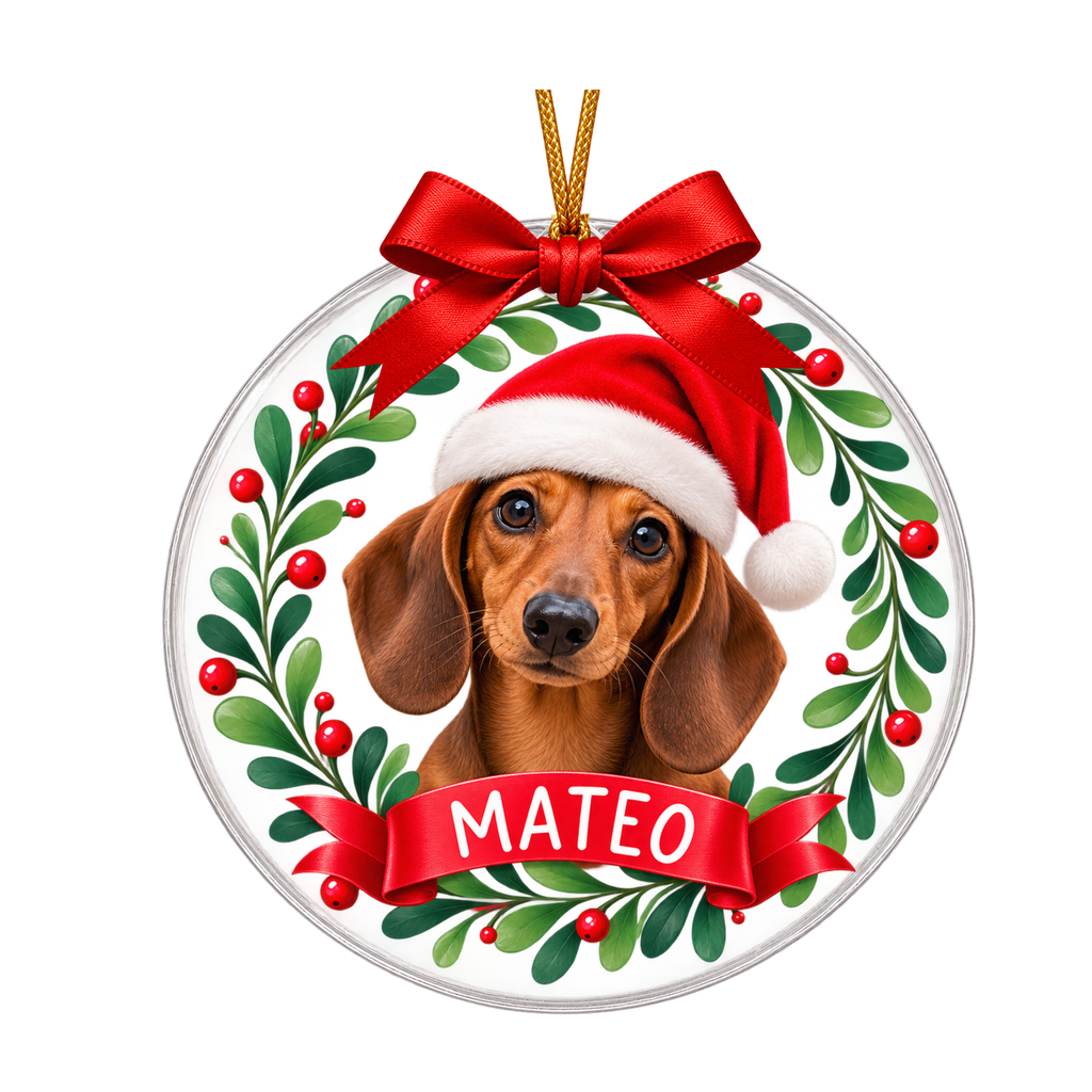Esfera Navideña Personalizada con Foto de Mascota y Nombre