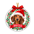 Esfera Navideña Personalizada con Foto de Mascota y Nombre