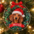 Esfera Navideña Personalizada con Foto de Mascota y Nombre
