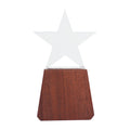 Trofeo de Madera y Cristal ''Lonely Star''