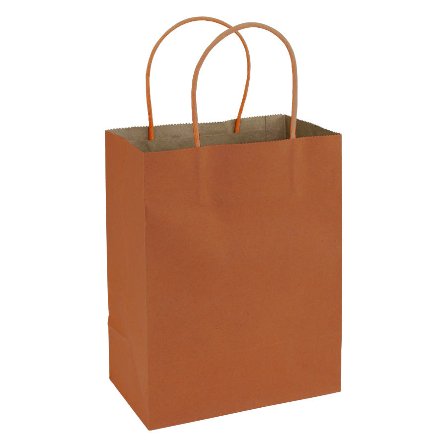 Bolsa de Papel 120g/m2 20 x 26 x 12 cm