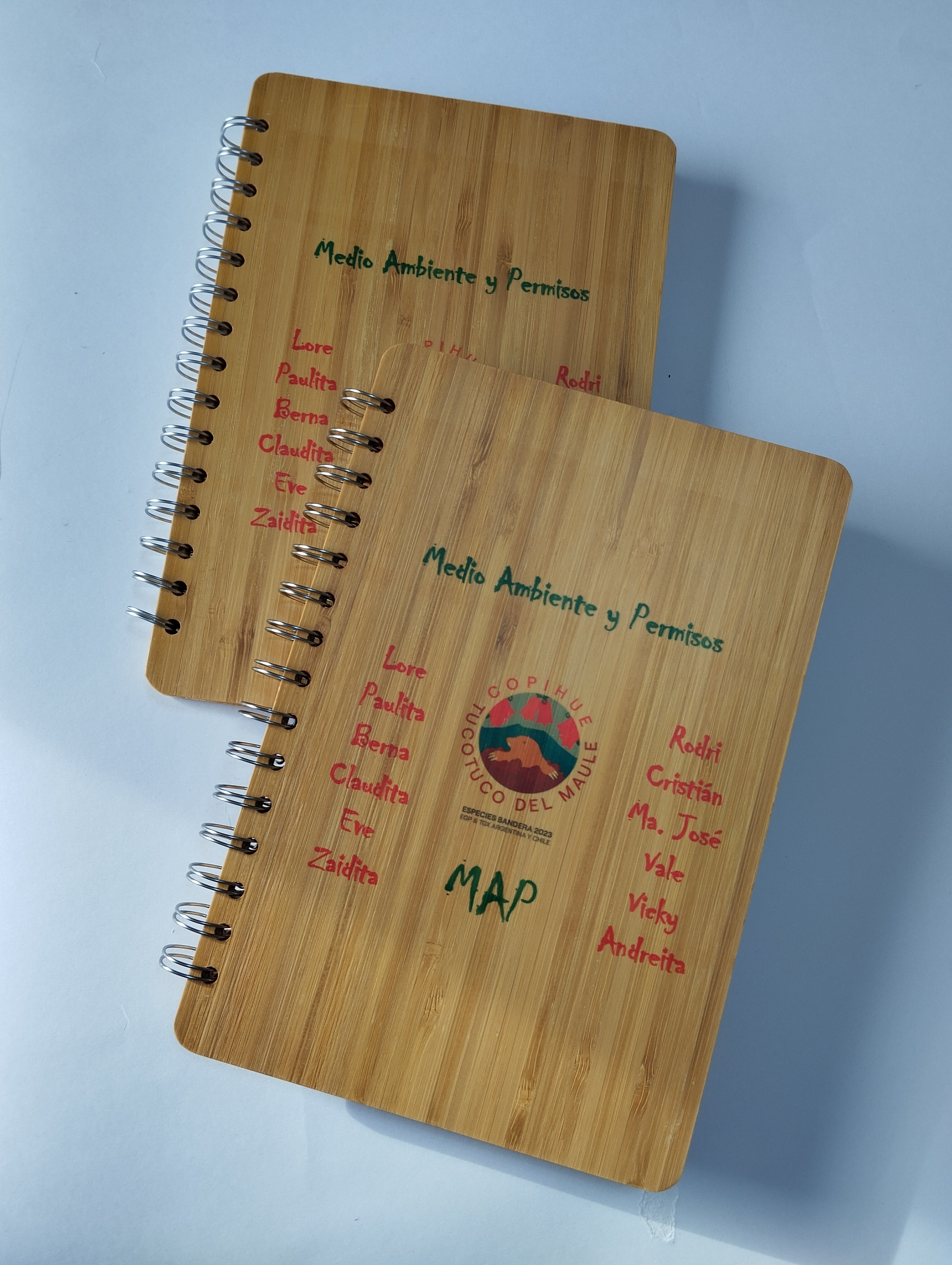 Deluxe Cuaderno de Bamboo