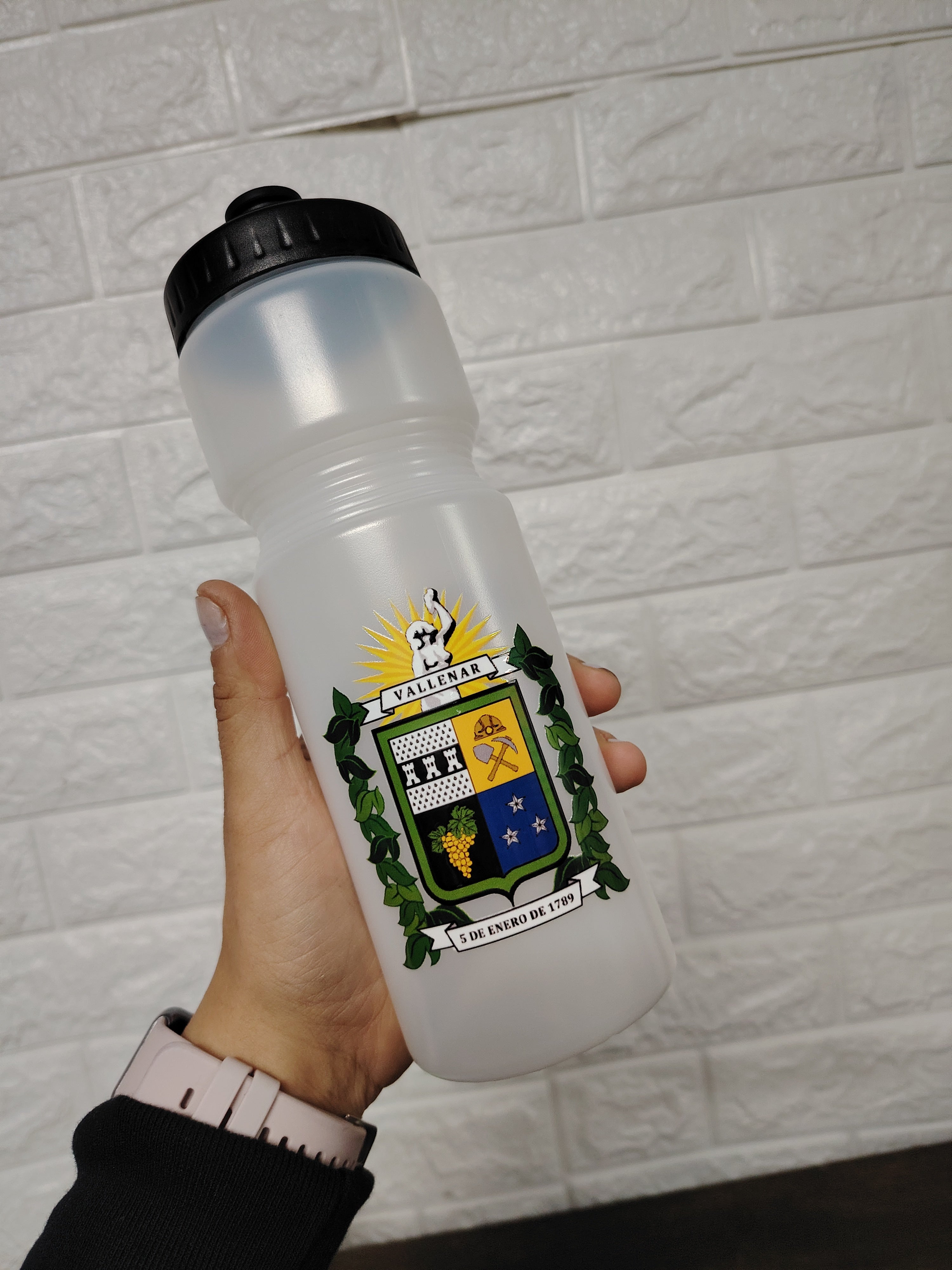 Botella Plástica 700cc