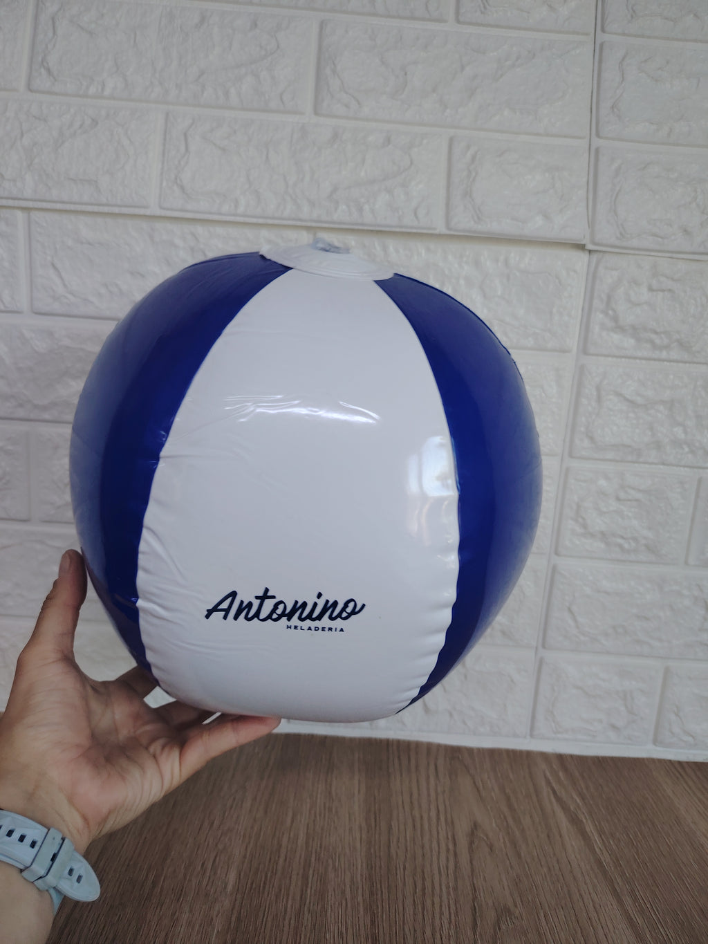 Pelota de Playa Inflable