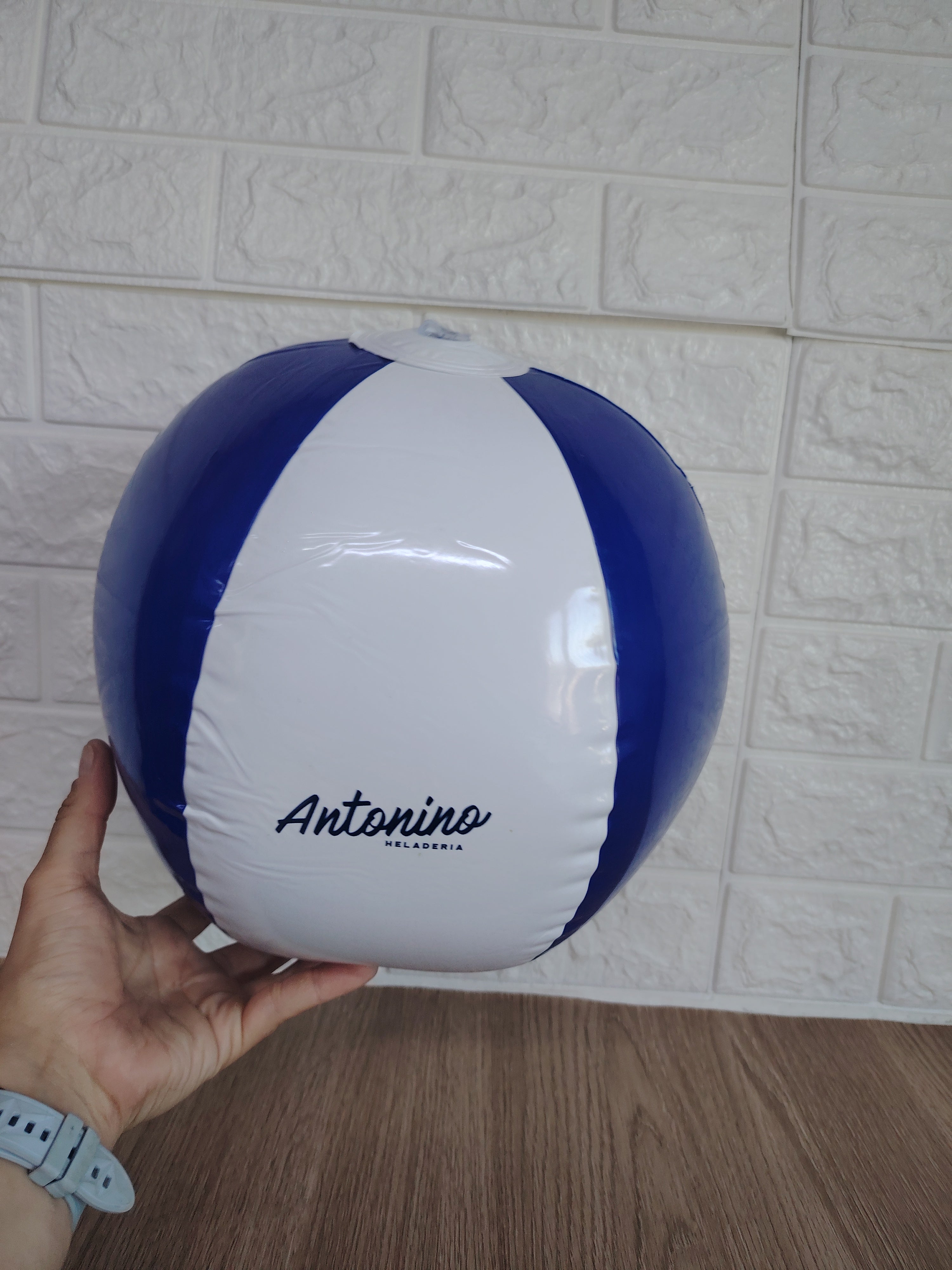 Pelota de Playa Inflable