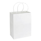 Bolsa de Papel 120g/m2 20 x 26 x 12 cm
